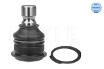 Kande-/juhtliigend MEYLE 36-16 010 0000