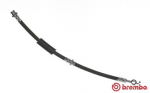 Pidurivoolik BREMBO T 49 050