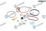 Remondikomplekt,vaakumpump(piduris&uuml;steem) Dr.Motor Automotive DRM0321