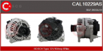Generaator CASCO CAL10229AS