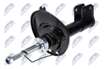 Amort NTY A-CT-048