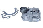 &Otilde;lipump MAXGEAR 42-0020
