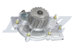Veepump, mootori jahutus DOLZ R199
