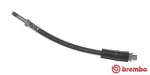 Pidurivoolik BREMBO T 06 032