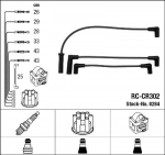 S&uuml;&uuml;tes&uuml;steemikomplekt NGK RC-CR302