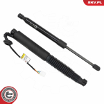 Elektrimootor, tagaluuk ESEN SKV 52SKV244