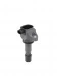 S&uuml;&uuml;tepool BorgWarner (BERU) ZSE240