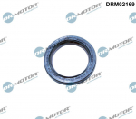 V&otilde;lli r&otilde;ngastihend, V&auml;ntv&otilde;ll DR. MOTOR DRM02169