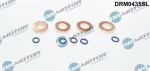 Tihendikomplekt, Sissepritsed&uuml;&uuml;s Dr.Motor Automotive DRM0435SL