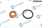 Tihendikomplekt, Sissepritsed&uuml;&uuml;s DR. MOTOR DRM0266