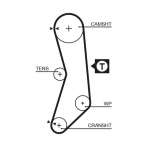 Hammasrihm GATES 5544XS