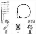 S&uuml;&uuml;tes&uuml;steemikomplekt NGK RC-VW247
