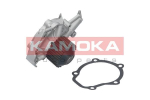 Veepump, mootori jahutus KAMOKA T0065