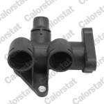 Jahutusvedeliku flants CALORSTAT by Vernet WF0064