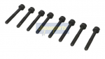 Klapikaanekruvikomplekt JAPANPARTS BL-K01