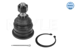 Kande-/juhtliigend MEYLE 36-16 010 0012