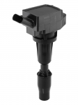 S&uuml;&uuml;tepool BorgWarner (BERU) ZSE300