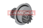 Veepump, mootori jahutus KAMOKA T0066