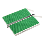 Filter,salongi&otilde;hk Castrol Filters CC0042