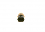 Andur,&Otilde;litemperatuur BOSCH 0 280 130 122