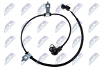Andur, rattap&ouml;&ouml;rete arv NTY HCA-MS-076