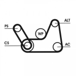 Soonrihmakomplekt CONTINENTAL CTAM 6PK1019 ELAST T1