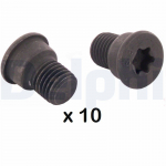 Kruvi,piduriketas DELPHI BGK007