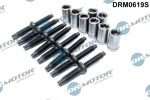 Kruvi, sissepritsed&uuml;&uuml;si kinnitus Dr.Motor Automotive DRM0619S