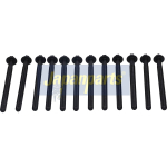 Klapikaanekruvikomplekt JAPANPARTS BL-904