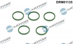 R&otilde;ngastihend,&otilde;hulaadevoolik Dr.Motor Automotive DRM01135