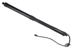 Elektrimootor, tagaluuk DENCKERMANN G100096