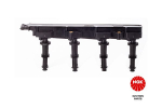 S&uuml;&uuml;tepool NGK 48151