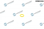 Lukustusr&otilde;ngas, k&uuml;tusepump Dr.Motor Automotive DRM03294