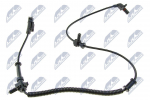 Andur, rattap&ouml;&ouml;rete arv NTY HCA-CH-085