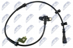 Andur, rattap&ouml;&ouml;rete arv NTY HCA-CH-023