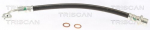 Pidurivoolik TRISCAN 8150 13137