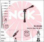 S&uuml;&uuml;tes&uuml;steemikomplekt NGK RC-ES1206