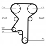 Veepump + hammasrihmakomplekt CONTINENTAL CTAM CT975WP2