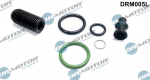 Remondikomplekt,pump-d&uuml;&uuml;s-komponent Dr.Motor Automotive DRM005L