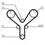 Hammasrihm CONTINENTAL CTAM CT1147
