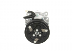 Kompressor,kliimaseade BV PSH 090.225.015.876
