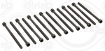 Klapikaanekruvikomplekt ELRING 794.480
