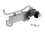 EGR-moodul BORGWARNER 710863D