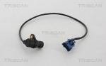 Andur, v&auml;ntv&otilde;ll TRISCAN 8855 24122