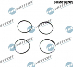 Tihendikomplekt,Sisselaskekollektor Dr.Motor Automotive DRM01676S