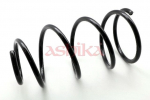 vedru ASHIKA ZCA2899I