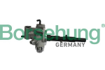 K&auml;igukanginupp Borsehung B10906
