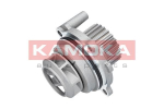 Veepump, mootori jahutus KAMOKA T0029