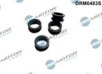 R&otilde;ngastihend,sissepritseklapp Dr.Motor Automotive DRM0483S
