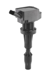 S&uuml;&uuml;tepool BorgWarner (BERU) ZSE262